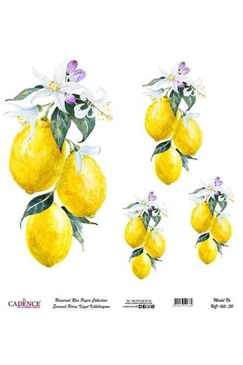 Cadence Universal Rice Decoupage Paper - Uc-165