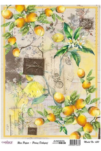 Cadence Brass Decoupage Paper - Model 650