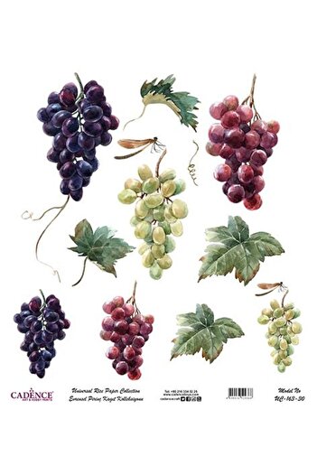 Cadence Universal Rice Decoupage Paper - Uc-163