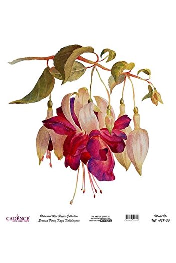 Cadence Universal Rice Decoupage Paper - Uc-028