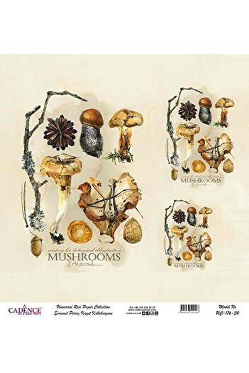 Cadence Universal Rice Decoupage Paper - Uc-176
