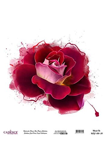 Cadence Watercolor Flower Rice Decoupage Paper - Wfc-027