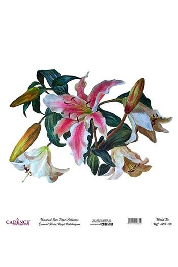 Cadence Universal Rice Decoupage Paper - Uc-007