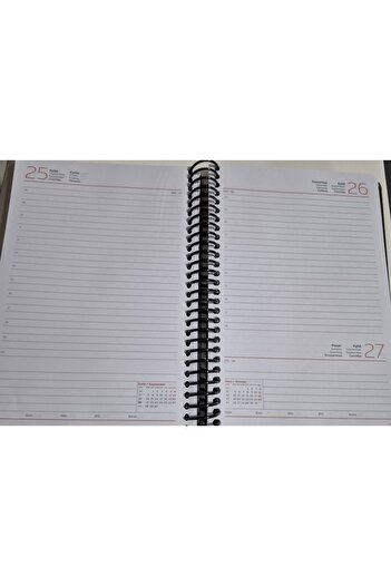 Gıpta 2026 Agenda 17X24 Daily Agenda 407_Sek Gray