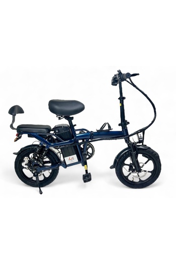 ALBADER Electric Bike 16 Inch, Foldable Electric Bike 65 KM/H Max Speed, Electric Scooter Lightweight 500W