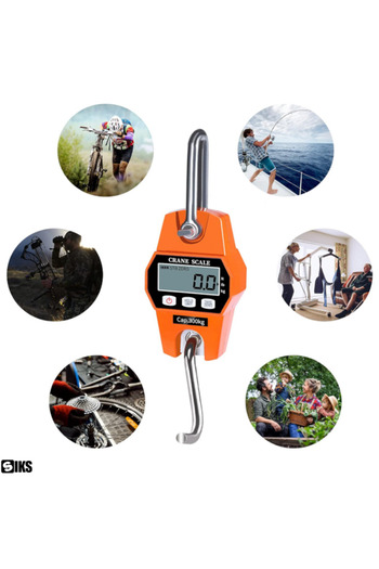 SIKS Electronic Hand Scale with Hook, Digital Scale with Aluminum Case, Capacity Up to 300 kg