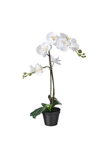Davida Dreams Floare artificiala cu frunze verzi, aspect , orhidee alba, 65 cm