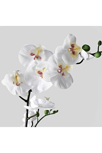 Davida Dreams Floare artificiala cu frunze verzi, aspect , orhidee alba, 65 cm