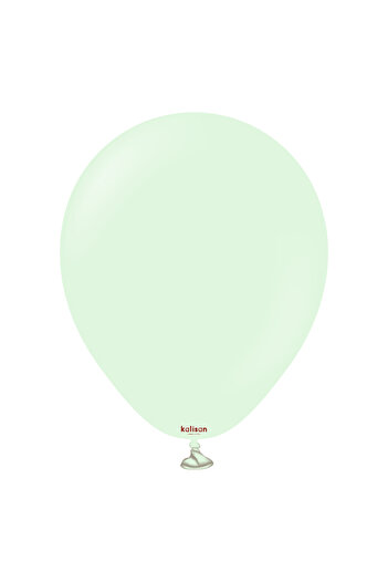 kidspartim 10 Pale (Light) Green Macaron Balloons 12 Inches