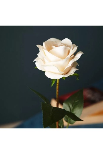 Generic Aria Rose Flower Stem - 53 cm