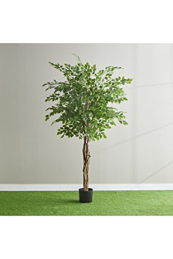 Generic شجرة فيكوس تيودورا الصناعية - 210 سم