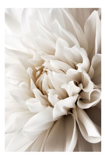 Harikabirev Hari̇kabi̇rev | Soft White-Cream Tone Flowers Model | Framed Glass Table 3-Piece Vertical