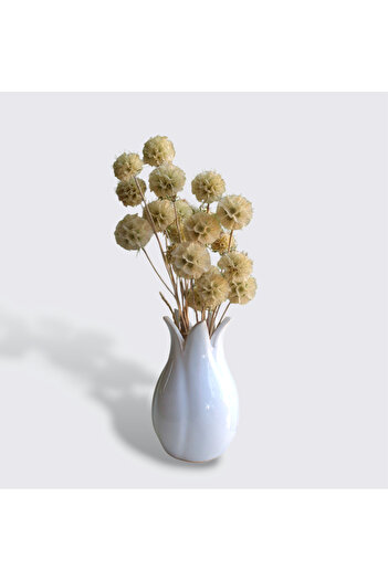 Ütopik çiçek Scabiosa kuru çiçek vazo çiçeği epoksi çiçeği