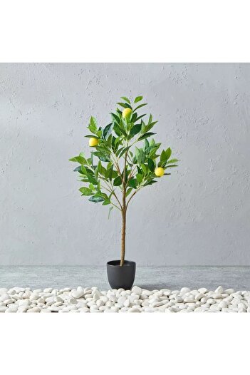 Generic Alicia Lemon Tree with Pot - 45x39x90 cm
