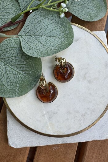 My Joyas Design Steel Amber Transitional Earrings