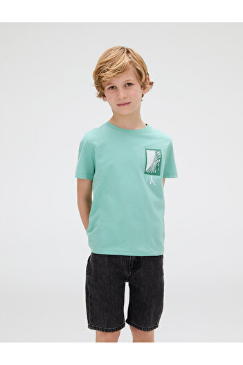 Calvin Klein Boys Tickled Green Seasonal Logo Graphic Short Sleeve T-Shirt