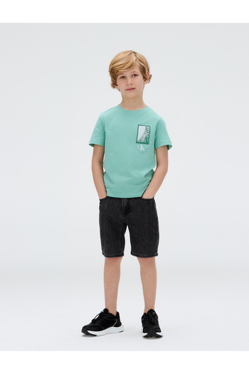 Calvin Klein Boys Tickled Green Seasonal Logo Graphic Short Sleeve T-Shirt