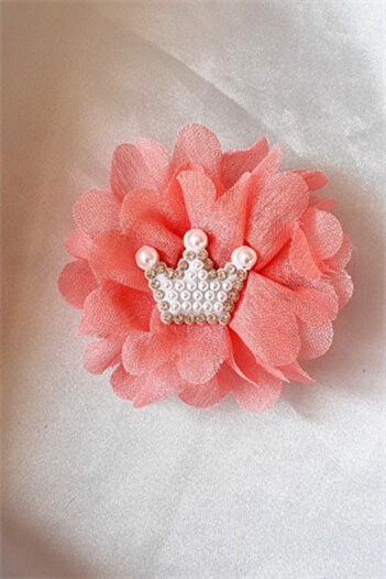 Trade Bazaar Children's Princess Crown Detail 2-Piece Collet Buckle Set Clip Buckle Set Crowned Collet