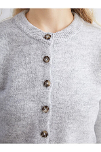 LC Waikiki Xsidegri Crew Neck Women's Knitwear Cardigan