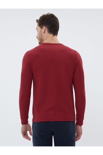 Loft Regular Fit Men's Tshirt U.sleeve