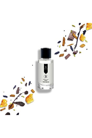 Ginsari Unisex Perfume 702, inspired by Oud Wood, Oriental/Woody, 50 ml