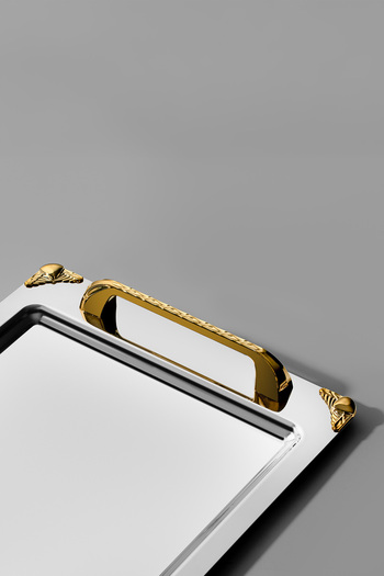 Nehir Vega Gold Satin Steel Coffee Tray