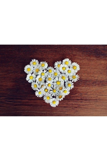Alista Home Decorative wall painting with wooden frame, 33cm x 24cm, with flowers3530