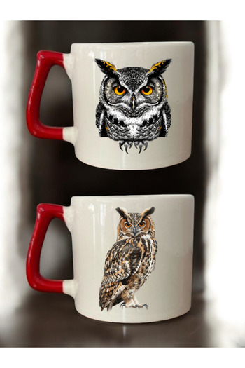 lili hediyelik Owl Printed Set of 2 Coffee Cups Ceramic Mug - Ceramic Tea, Coffee Gift Cup