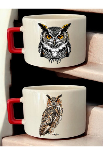 lili hediyelik Owl Printed 2-Piece Coffee Cup Ceramic Mug - Ceramic Tea, Coffee Gift