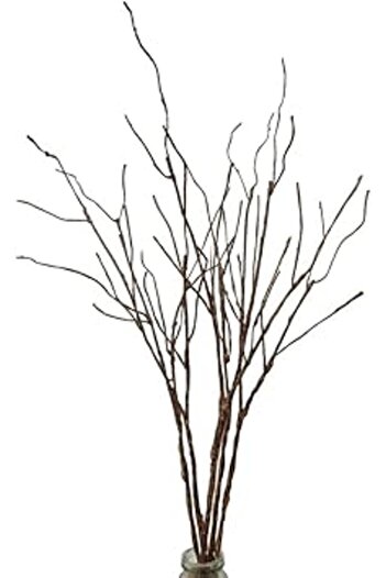 Generic 5PCS Artificial Lifelike Curly Willow Branches Decorative Dried Twigs, 25.9 Inches Fake Bendable Sti