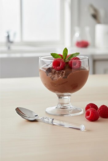 EWs Set of 6 Stainless Steel Transparent Dessert Spoons