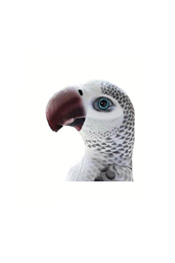 OEM Realistic Plush Parrot, Multicolor, 20 cm