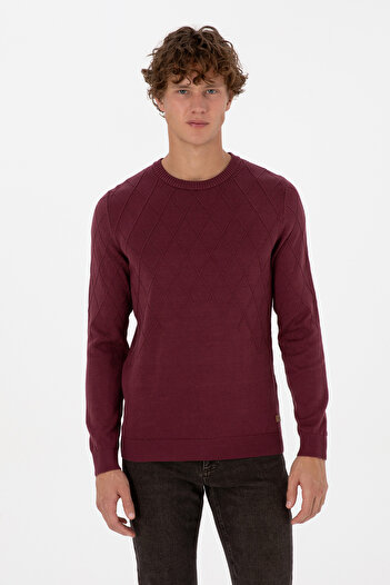U.S. Polo Assn. Men's Slim Fit Crew Neck Patterned Burgundy Sweater 50315748-Vr177