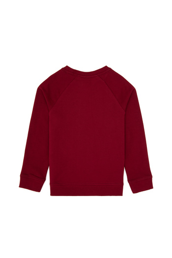 U.S. Polo Assn. Boy's Burgundy Basic Sweatshirt 50313832-Vr014