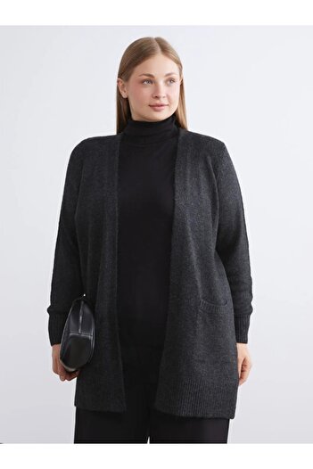 LC Waikiki Lcwaikiki Classic Shawl Collar Women's Knitwear Cardigan Plus Size