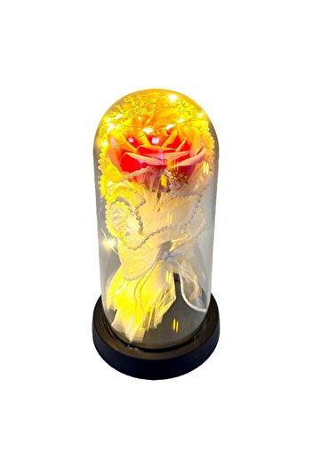 velve Eterno, soap rose in glass dome with LED, Pink