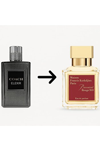001natel Coach Elixir Eau de Parfum 100ml