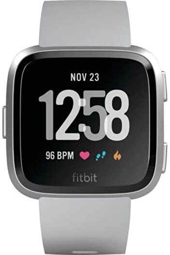 Edman Bracelet Strap for Fitbit Versa / Versa 2, size L, Gray