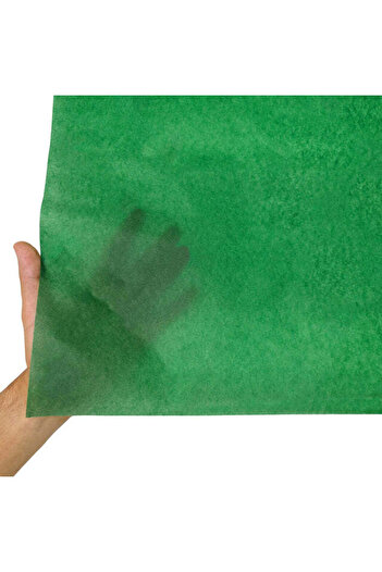 Papette Set of 100 pieces Tissue paper 17g EVERGREEN - 50 x 75cm