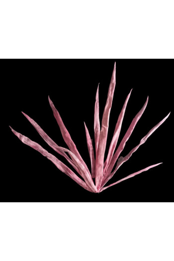 OEM Decorative flower, bouquet 11 strands Red Dracaena L 108 cm