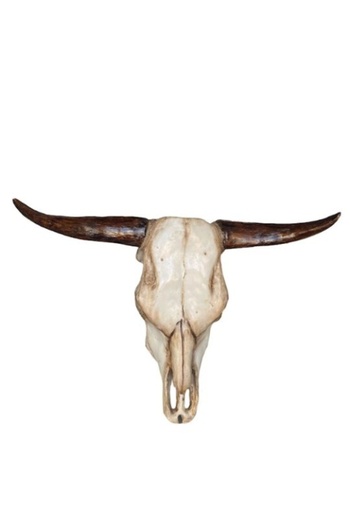 OEM Bull skull wall decoration, large size 70x52 cm