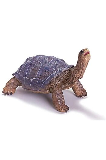 PARODİ Turtle figurine 18.5x12x12.5