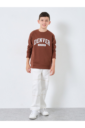 Styli Teen Brown Relaxed Fit Graphic Sweatshirt