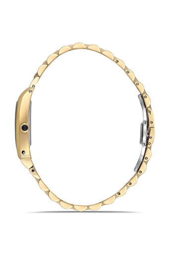 Momentus KADIN KOL SAATİ CS365G-02SG