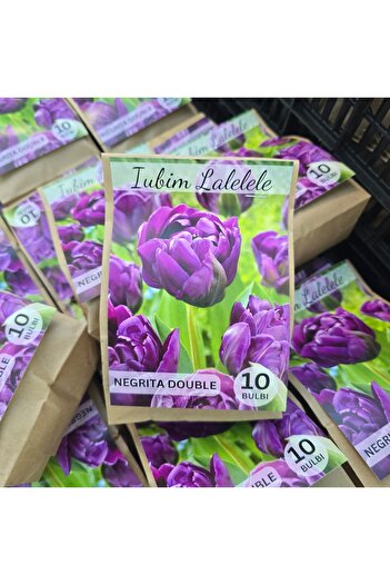Bulbi și Plante NEGRITA DOUBLE TULIPS - 10 BULBS