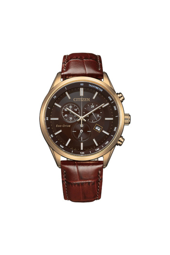 Citizen Men's Automatic Brown Dial Watch - AT2573-07X
