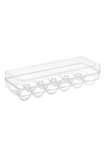 ANTBRO Support for 12 eggs made of plastic 0% BPA Antbro®, transparent, with lid, 28 x 10.2 x 7.2 cm