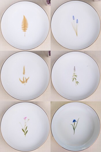 tabakevi Tabak Evi Porcelain Natura Mixed Gold Gilded Bowl 13.50cm Set of 6