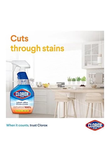 Clorox Clorox Kitchen Cleaner Spray - 750 ml, Bleach Free