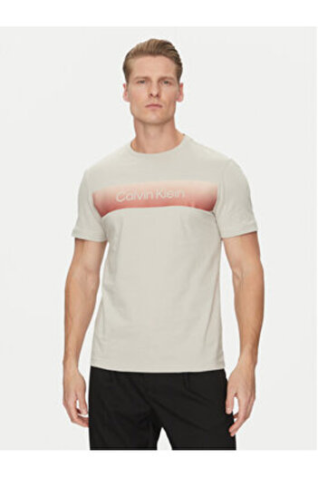 Calvin Klein Ανδρικό T-Shirt K10K114163 Γκρι